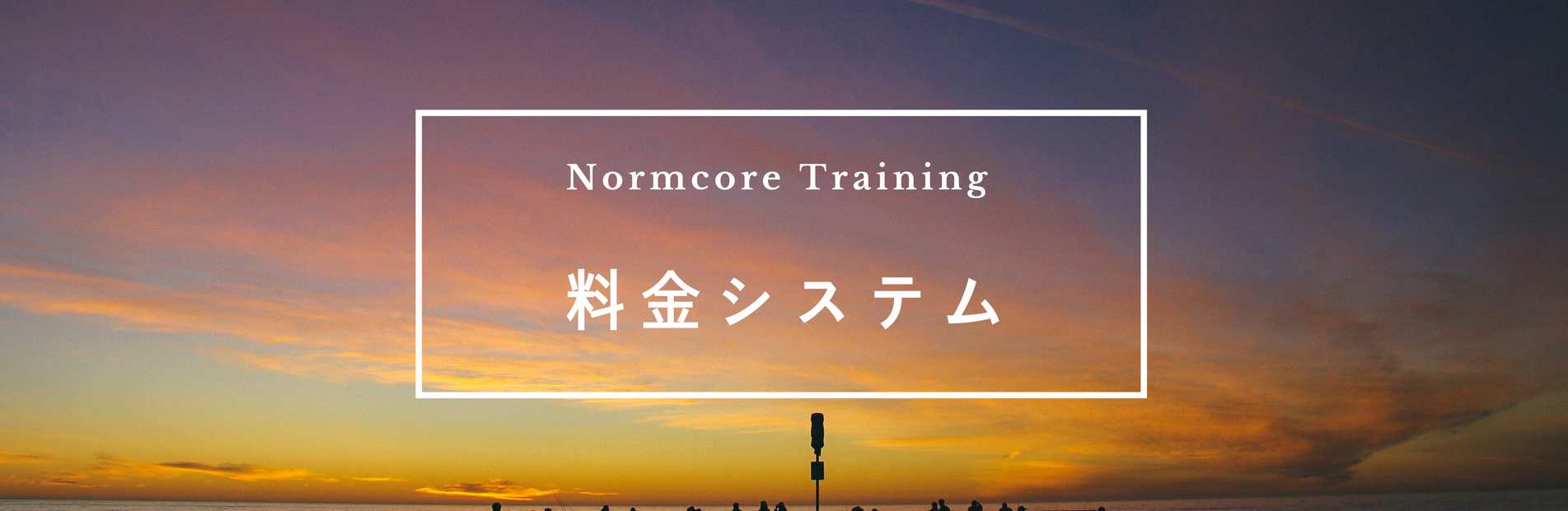 Normcore Training料金システム2