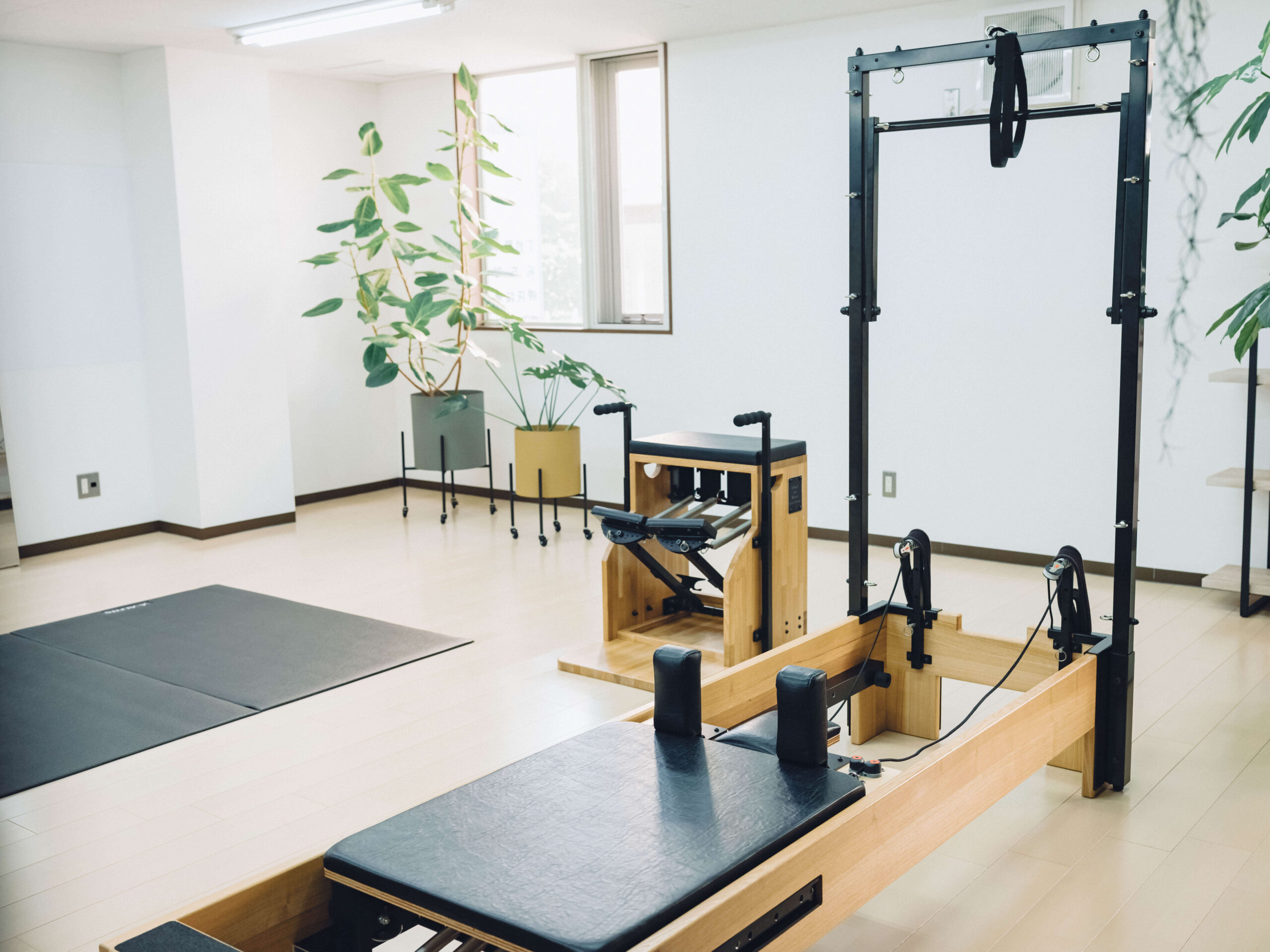 DSCF6774 (2025-06-30T06_09_30.514)